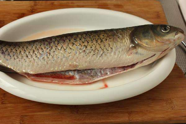 鱼肚子里面的黑膜，是由于生活的环境遭到污染造成的吗？