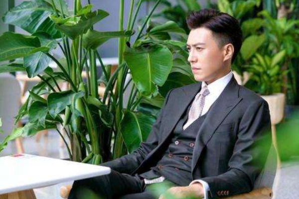 由靳东主演的电视剧《精英律师》中戴西这个角色你怎么看？
