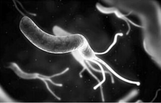 幽门杆菌检测为阴性和胃病康愈有何关系？