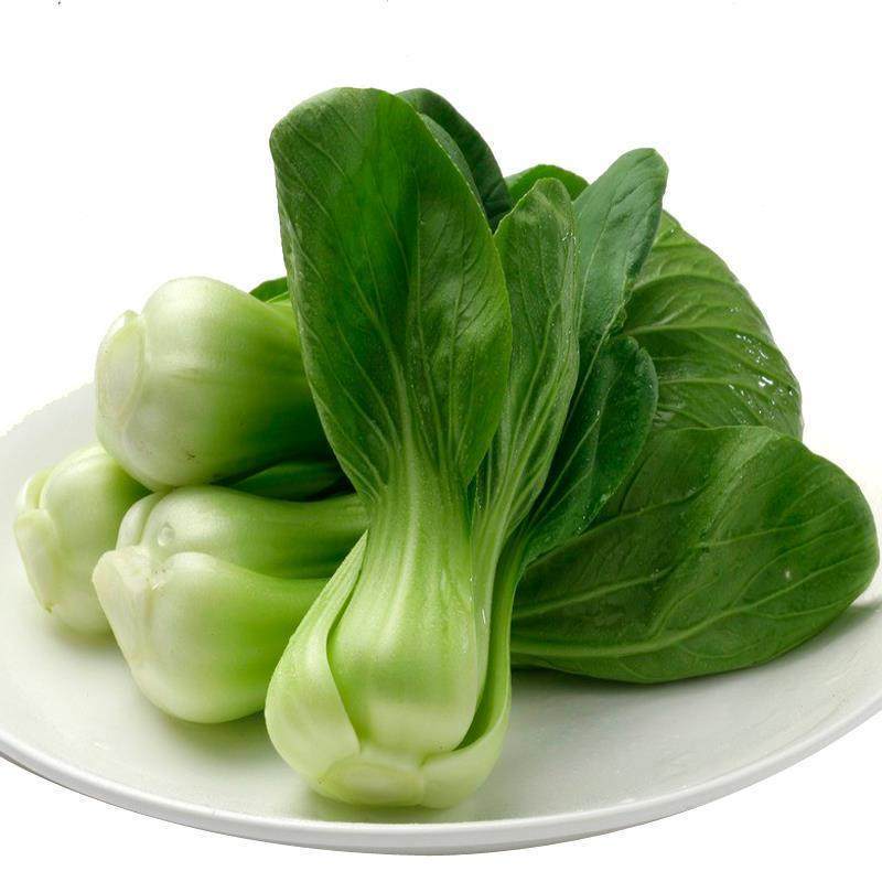 怎样避免食用蔬菜中毒？