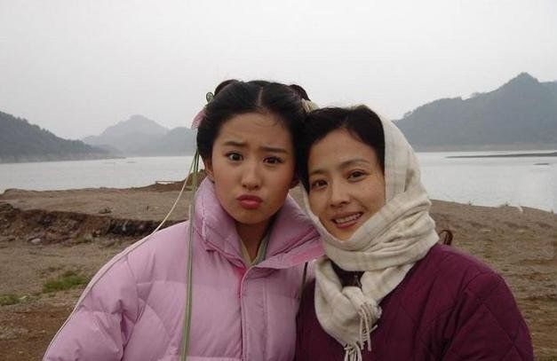 刘晓莉把最好的爱给女儿刘亦菲，你感受到的母爱是什么？