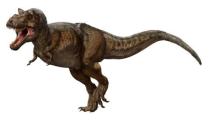 霸王龙能在恐龙时代横行吗，它也有很多天敌？