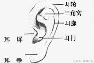 如何从耳朵形状看命运如何？