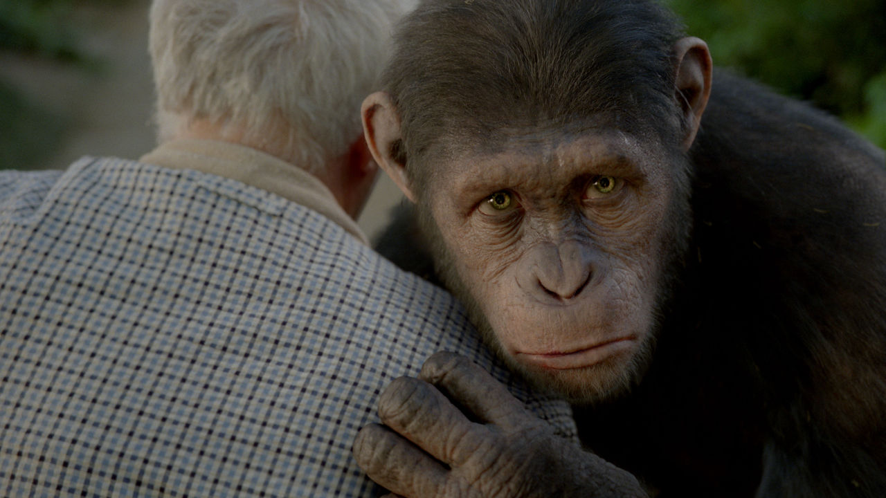 在《猩球崛起3》里演个猩猩有多难？