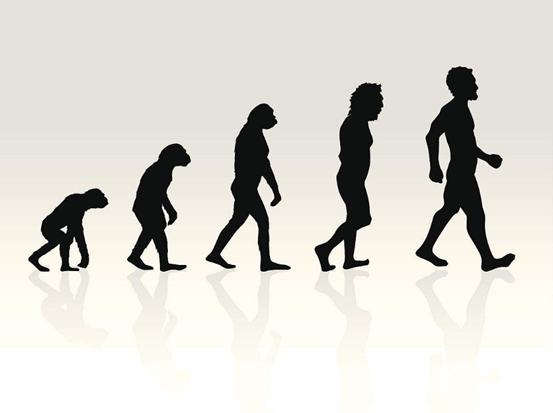 如果进化论是正确的，生物的样貌为什么不是平缓的量变？