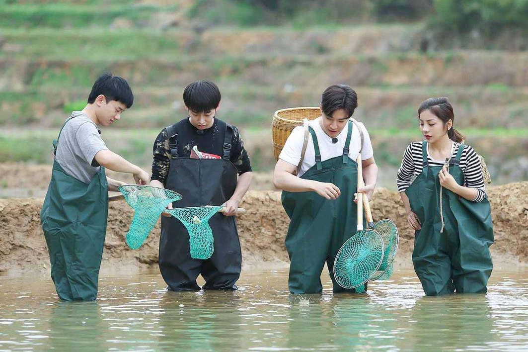 向往的生活嘉宾疑似住宾馆你怎么看