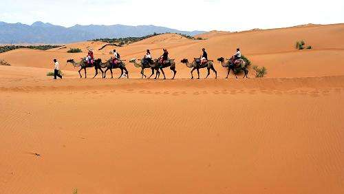 十二星座中哪个星座去旅行必须去一次沙漠？