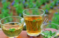 普洱茶的保存方法你知道吗？