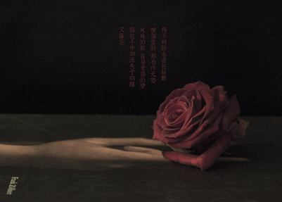 陈奕迅的红玫瑰的歌词到底讲了个什么故事？