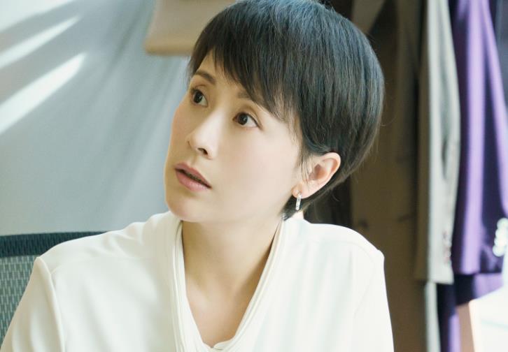 如何评价黄磊、海清、陶虹主演的电视剧《小欢喜》？